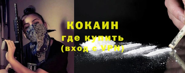 шишки Абинск