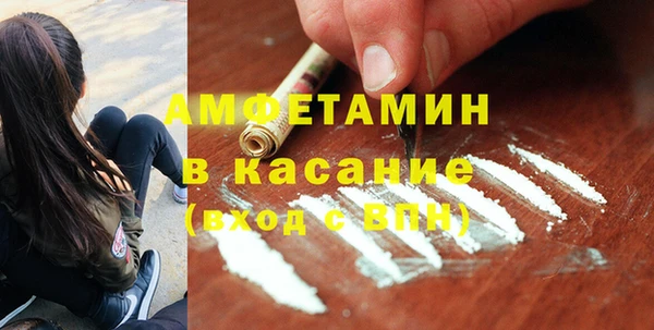 шишки Абинск