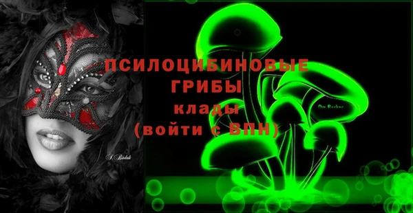шишки Абинск