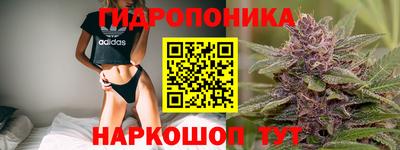 ПСИЛОЦИБИНОВЫЕ ГРИБЫ Новодвинск