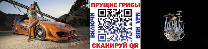Галлюциногенные грибы Psilocybine cubensis  ОМГ ОМГ онион  Топки  где можно купить наркотик 