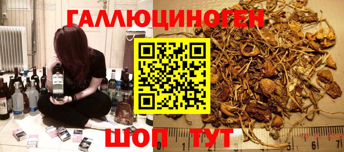 Псилоцибиновые грибы Psilocybe Топки