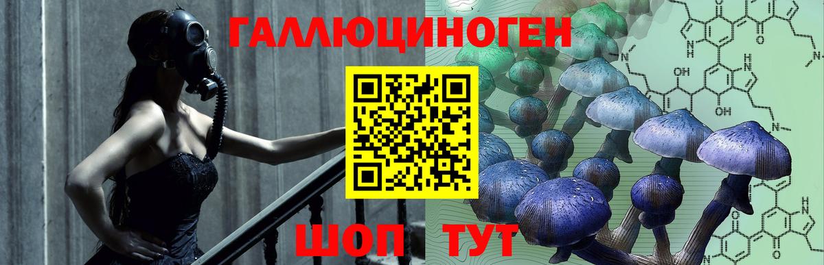 Топки  Псилоцибиновые грибы Magic Shrooms  Вход с VPN  Псилоцибиновые грибы мицелий 